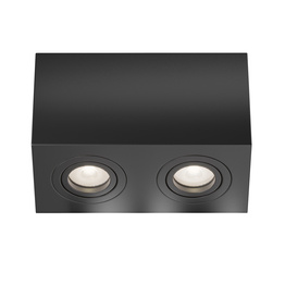 Maytoni Atom C017CL-02B Plafon