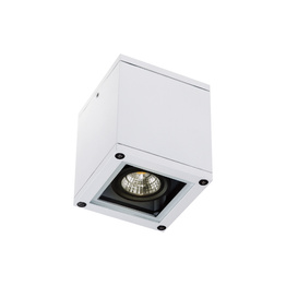 Plafon Zewnętrzny Zambelis E270