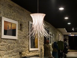 Zwis Arturo Alvarez Bety