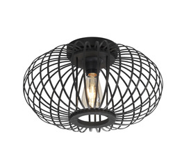 Oprawa Sufitowa Paul Neuhaus RACOON 11410-18