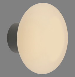 Paul Neuhaus Olaf 003902-032297 Plafon