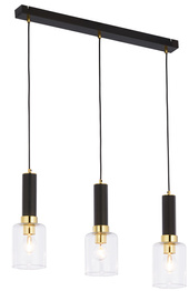 Zwis Jupiter Tuluza 1866