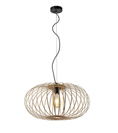 Lampa Wisząca Paul Neuhaus RACOON 11409-79