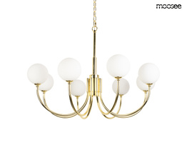 Zwis Moosee Gracia MSE1501100581