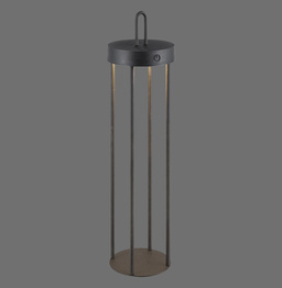 Lampka Biurkowa Paul Neuhaus Anselm 003902-028835