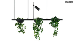 Zwis Moosee Plant MSE1501100210