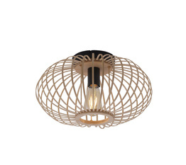 Oprawa Sufitowa Paul Neuhaus RACOON 11410-79