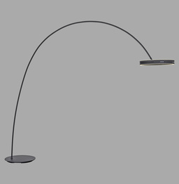Lampa Podłogowa Paul Neuhaus Pure Loop-bow 003902-035382