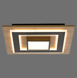 Plafon Paul Neuhaus Tola 003902-031867