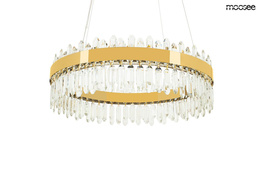 Zwis Moosee Amira MSE1501100408