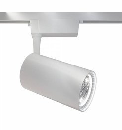 Reflektor kierunkowy Maytoni Biały Track lamps TR003-1-40W3K-W