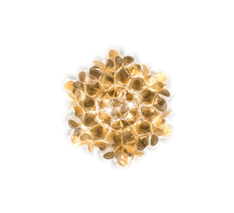 Slamp Clizia mała CLICS00GNM00000000EU Lampa Sufitowa