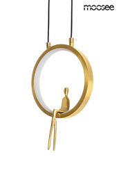 Zwis Moosee Boy MSE1501100461