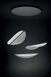 MA&DE Diphy 8168 Zwis