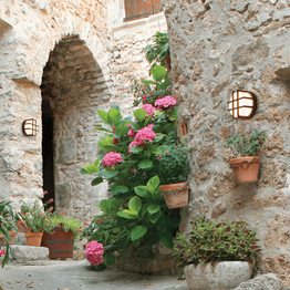 Oprawa Ścienna Zambelis E342