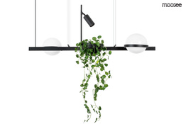 Żyrandol Moosee Plant MSE010100156