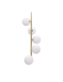 Zwis Zuma Line 5648 Ali