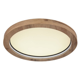 Lampa sufitowa ledowa Globo Lighting Branza 41374-24R