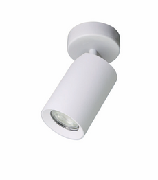 Spot TLS006-WH Zuma Line Tore