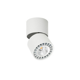 Italux CLN-97018-12W-L-3K Reflektor Herios