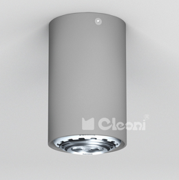 Minimal  Lampa Sufitowa Srebrny Cleoni