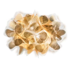 Slamp Clizia Mama Non Mama Lampa Ścienna CLIWM00GNM00000000EU