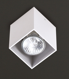 Maxlight Pet Square C0082 Plafon