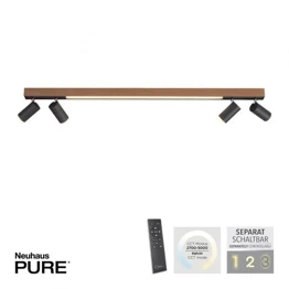 Elegancka Lampa Sufitowa Paul Neuhaus PURE-LINES 6121-79