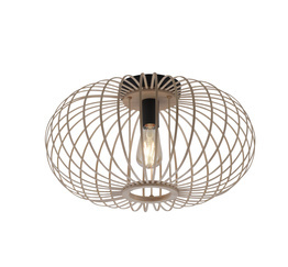 Oprawa Sufitowa Paul Neuhaus RACOON 11411-79