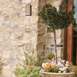 Oprawa Ścienna Zambelis E341