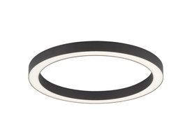 Elegancka Lampa Sufitowa Paul Neuhaus PURE-LINES 6309-13