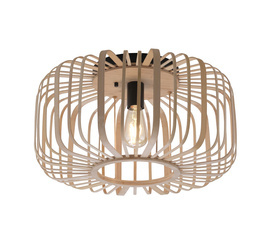 Oprawa Sufitowa Paul Neuhaus RACOON 11413-79