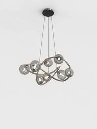 Nancy Zwis Wofi 7014-805