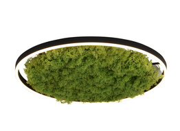 Lampa Sufitowa Paul Neuhaus Ritus 15392-66