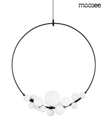 Zwis Moosee Rocio MSE010100340