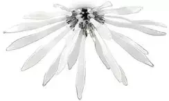 Ideal Lux CORALLO PL6 Bianco Lampa Sufitowa