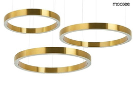 Zwis Moosee Ring MSE0008080100