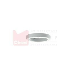 Cleoni Plafon 1408/UP/LA/W/SP 175 LED Srebrny matowy 70 cm