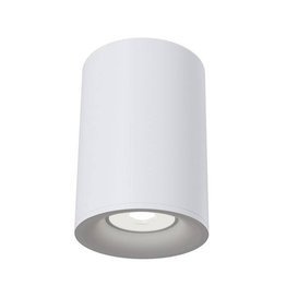 Lampa sufitowa Maytoni Alfa C012CL-01W Biała