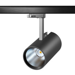 Cleoni Roben T218/TL/L13/TdPWHE/700mA/116/44D/930 Reflektor do szynoprzewodu