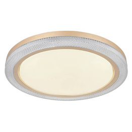 Lampa sufitowa ledowa Bolly Globo Lighting 41372-24