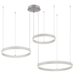 Lampa Wisząca Paul Neuhaus Lilluti 15156-55