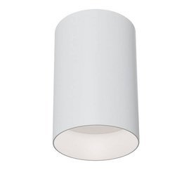 Lampa sufitowa Maytoni Alfa C014CL-01W Biała