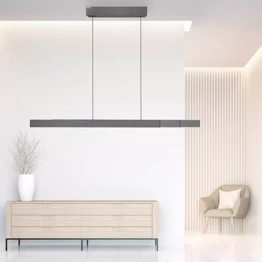 Lampa Wisząca Paul Neuhaus PURE-MOTO-RISE 2545-15