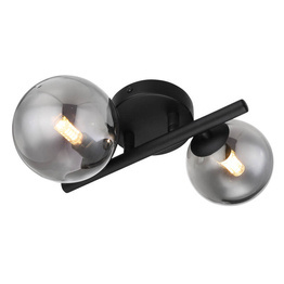 Lampa sufitowa Globo Lighting 56133-2W Riha