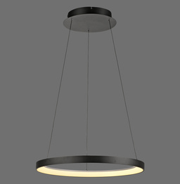 Lampa Wisząca Paul Neuhaus Hoop 003902-032165