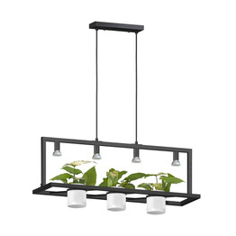 Planter Zuma Line P0536-04B-P7AB Lampa Wisząca