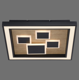 Plafon Paul Neuhaus Eliza 003902-032213