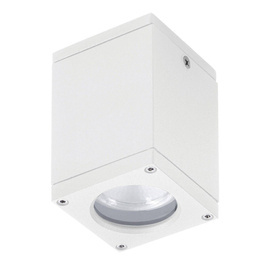 Mounted 555E-G21X1A-01 Spot zewnętrzny Novolux