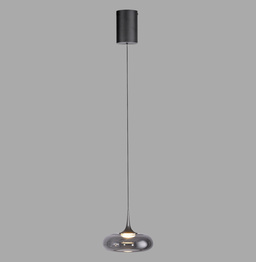 Lampa Wisząca Paul Neuhaus Posh 003902-035414